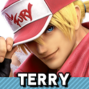 Zzzzz 1789326312ssbrtlterry — Smash Bros. Switch 2 Roster Builder option 105