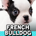 Zzzzz 1789326538ssbrtlnintendogsfrench Bulldog — Smash Bros. Switch 2 Roster Builder option 1099