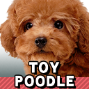 Zzzzz 1789326538ssbrtlnintendogstoy Poodle — Smash Bros. Switch 2 Roster Builder option 1098