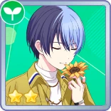 Whathappenedtowhatifelticon — [Project Sekai Colorful Stage]Fantastic Squad Card Tier option 158