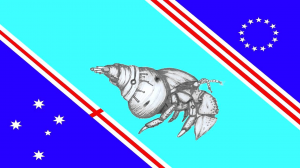 Img0611 — Countries and territories of Oceania option 44