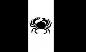 Img0648 — Countries and territories of Oceania option 77
