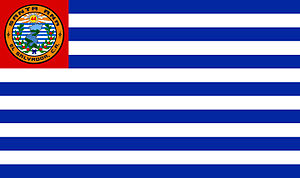 Zzzzz 1731319662img2216 — Ultimate Flag option 503