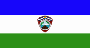 Zzzzz 1731319662img2217 — Ultimate Flag option 504
