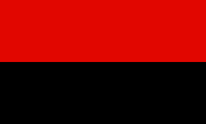 Zzzzz 1731319662img2220 — Ultimate Flag option 507