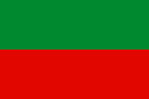 Zzzzz 1731319662img2221 — Ultimate Flag option 508