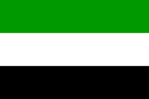 Zzzzz 1731319662img2222 — Ultimate Flag option 509