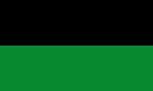 Zzzzz 1731319662img2223 — Ultimate Flag option 510