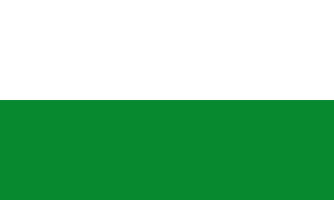Zzzzz 1731319662img2224 — Ultimate Flag option 517