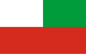 Zzzzz 1731319663img2242 — Ultimate Flag option 529