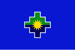 Zzzzz 1731319663img2275 — Ultimate Flag option 563