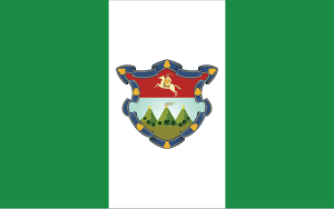 Zzzzz 1731319664img2359 — Ultimate Flag option 650