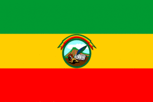 Zzzzz 1731319664img2365 — Ultimate Flag option 656