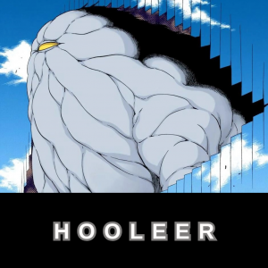Hooleer — Bleach - Hollow/Arrancar/Visored [labelled] option 48
