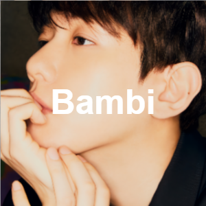 Baekhyun's Discography (2025) — option 15