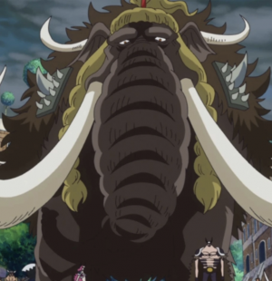 Zzzzz 1738193220screenshot 2025 01 29 At 22702pm — One Piece: Every Single Devil Fruit User option 141