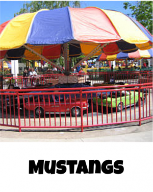 Cedar Point Rides Tier-List — option 34