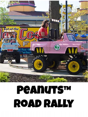 Cedar Point Rides Tier-List — option 37