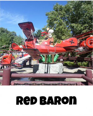 Cedar Point Rides Tier-List — option 42