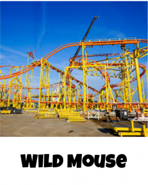 Cedar Point Rides Tier-List — option 62