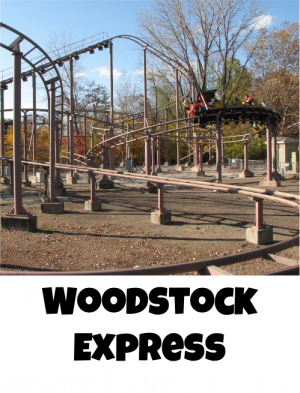 Cedar Point Rides Tier-List — option 65