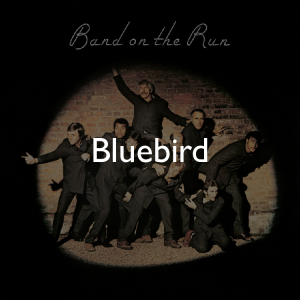 Zzzzz 175024588673botr B — ALL of Paul McCartney (+ Wings + Fireman) songs (1969-2026) option 116