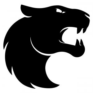 Zzzzz 1769260945furia — cs2 teams 2026 tierlist option 43