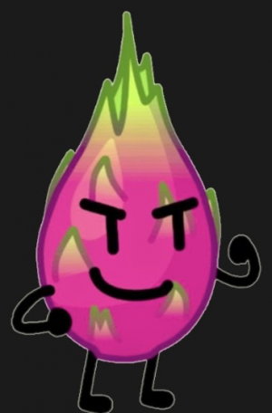 Zzzzz 1757021421dragon Fruit — Find the Foods [510] option 497