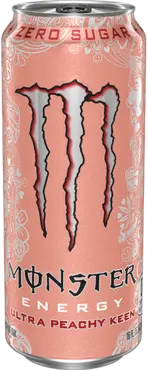 89679627 80ee 4f62 832f 472c9fb6b317 — every monster energy option 23