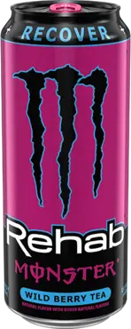 E9067c75 0881 46be B8b5 D7e363d7532b — every monster energy option 54