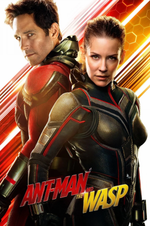 Ant Man And The Wasp — MCU Infinity Saga (2008-2019) option 34