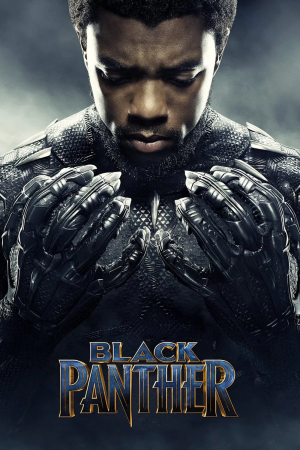 Black Panther — MCU Infinity Saga (2008-2019) option 30