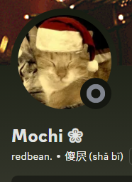Zzzzz 1733346830mochi — Haru List of 2024 option 38