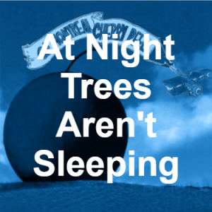 13 At Night Trees Arent Sleeping Blue — of Montreal songs option 13