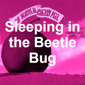 43 Sleeping In The Beetle Bug Pink — of Montreal songs option 42