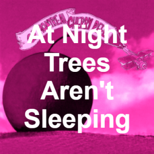 49 At Night Trees Arent Sleeping Pink — of Montreal songs option 48