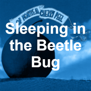 7 Sleeping In The Beetle Bug Blue — of Montreal songs option 7