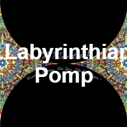 Zzzzz 1733811340217 Labyrinthian Pomp — of Montreal songs option 216