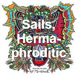 Zzzzz 1733811431291 Sails Hermaphroditic — of Montreal songs option 290