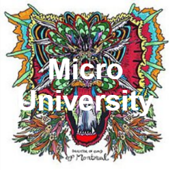 Zzzzz 1733811432302 Micro University — of Montreal songs option 301