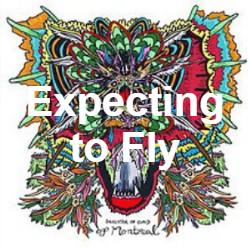 Zzzzz 1733811432305 Expecting To Fly — of Montreal songs option 304