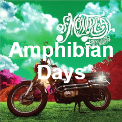Zzzzz 1733811433314 Amphibian Days — of Montreal songs option 313