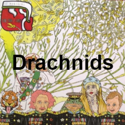 Zzzzz 1733811433321 Drachnids — of Montreal songs option 320