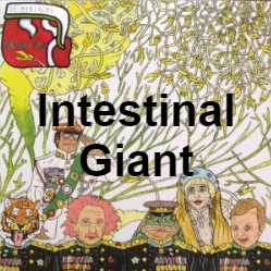 Zzzzz 1733811433327 Intestinal Giant — of Montreal songs option 326
