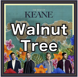 All Keane Songs (Complete) — option 85