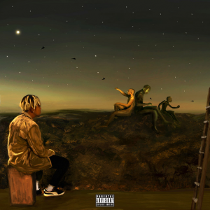 Fromabirdseyeview — 2020s Rap Albums option 68