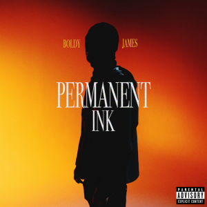 Permanentink — 2020s Rap Albums option 137
