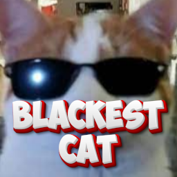 Blackestcat — DayLight Gaming - Teammitglieder option 13