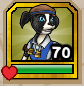4 A — All Pirate101 Companions option 153
