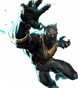 Blackpantherprestige — Marvel Rivals All Heroes (Always Updated option 3
